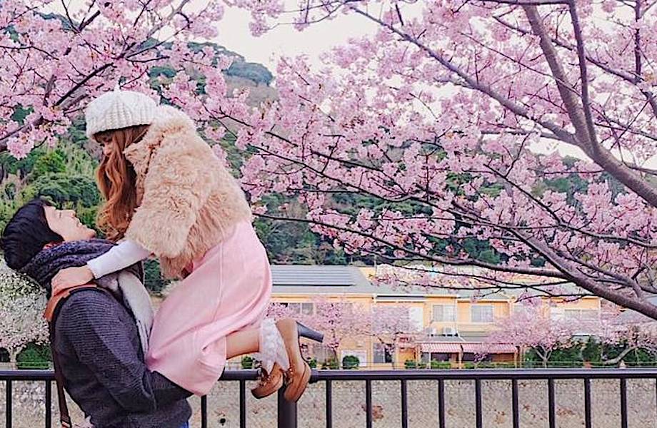20 завораживающих фото из японского Инстаграма о том, что весна пришла! 
