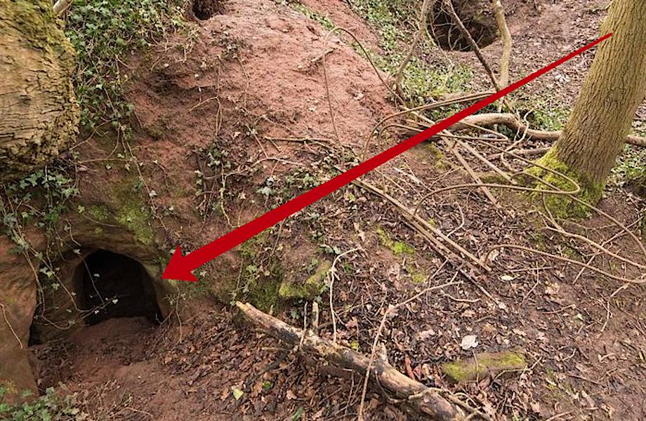 Эта кроличья нора — вход в секретную 700-летнюю сеть пещер, построенных тамплиерами! 