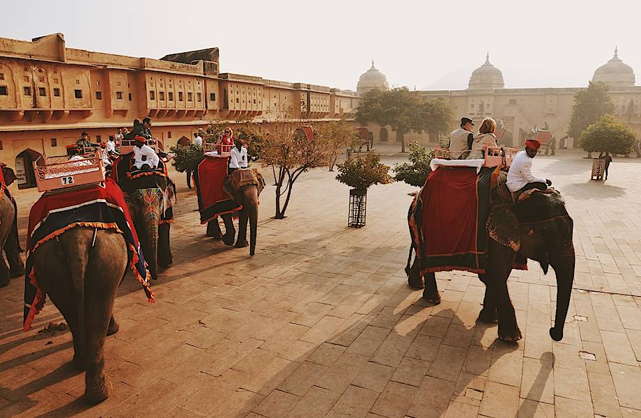 Джайпур — город тысячи слонов