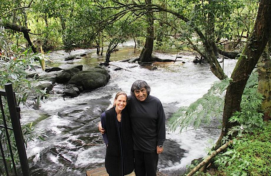 Пара потратила 26 лет на восстановление тропического леса, купленного ими в 1991 году