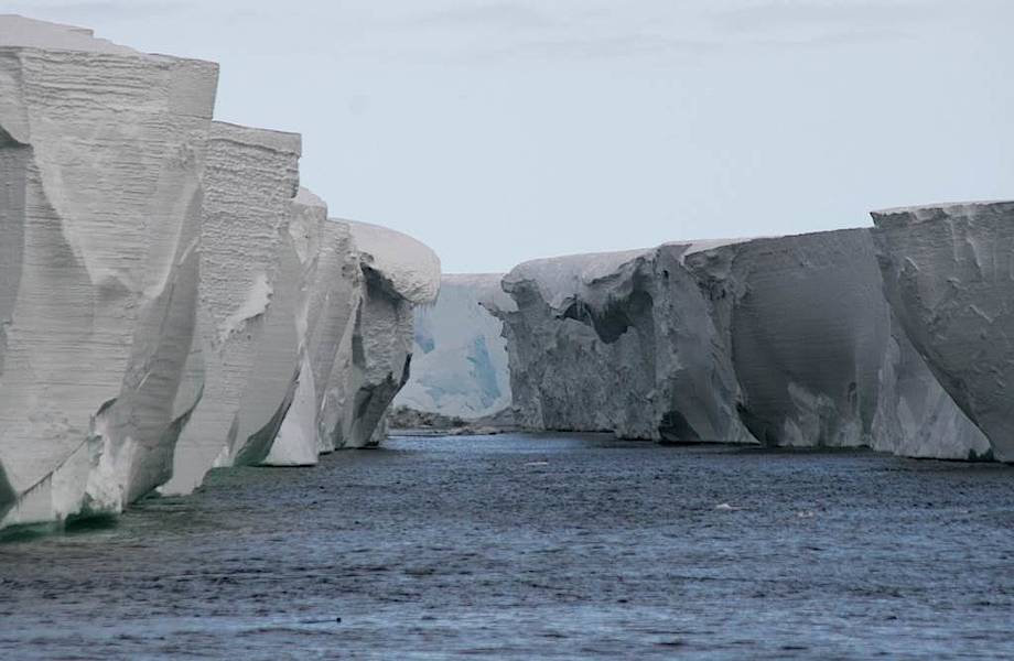 Самый большой в мире айсберг тает с двух сторон: к чему это приведет