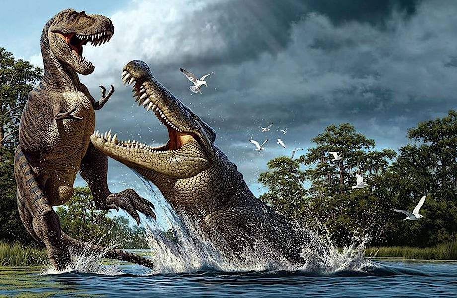 Чувствительные морды помогали динозаврам аккуратно есть