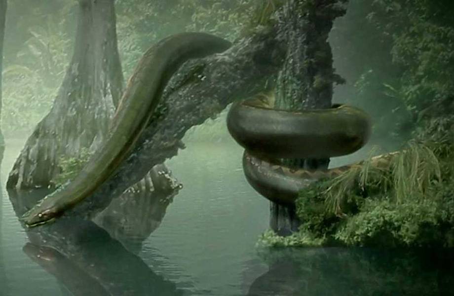 Какая змея самая большая в мире?