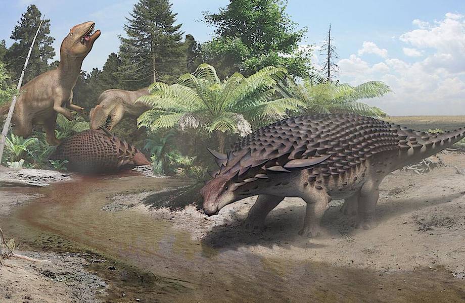 Зачем «танку» среди динозавров мощная броня и камуфляж