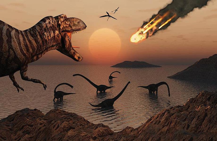 Что произошло после падения астероида, убившего динозавров