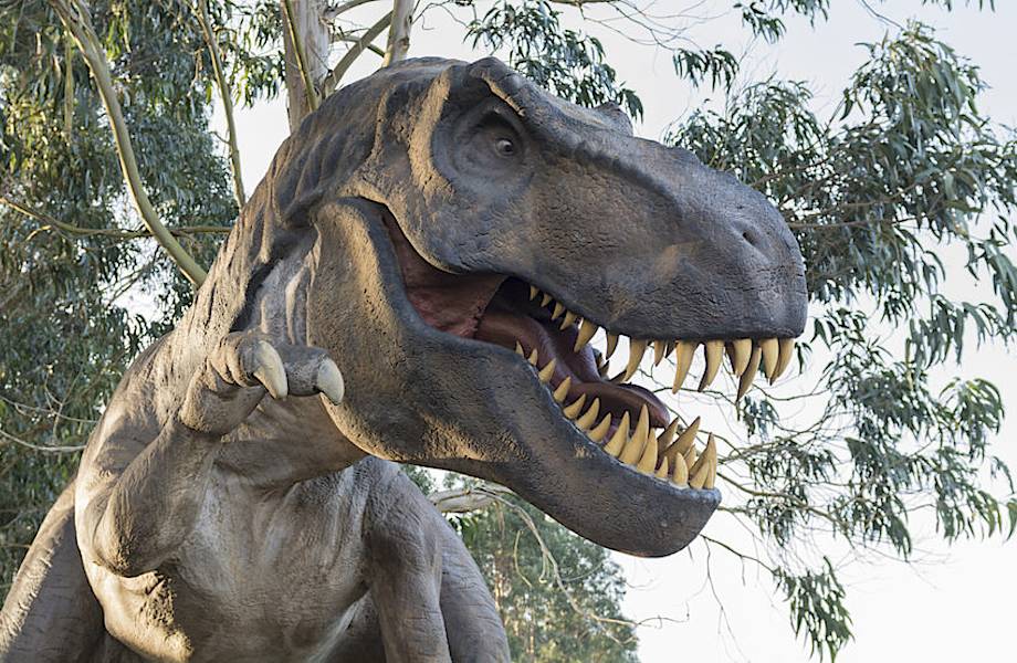 Какая сила была у челюстей тираннозавра