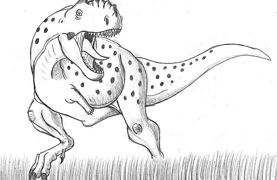 Что известно о «последнем динозавре Африки»
