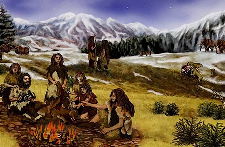 Неандертальцы начали варить смолу на 100 000 лет раньше людей