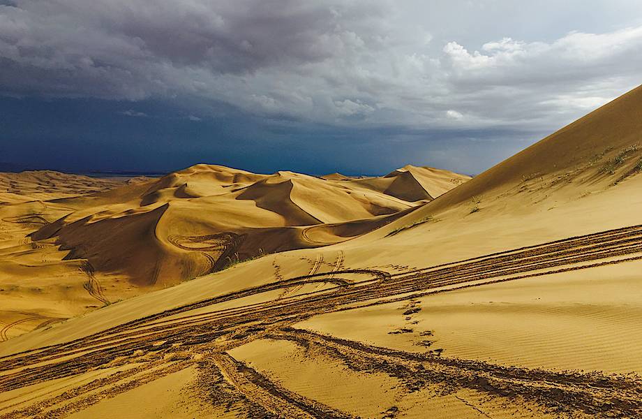 Как китайцы превращают пустыни в плодородные земли