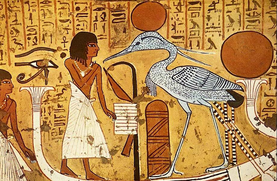 Древние египтяне и индейцы Америки были знакомы
