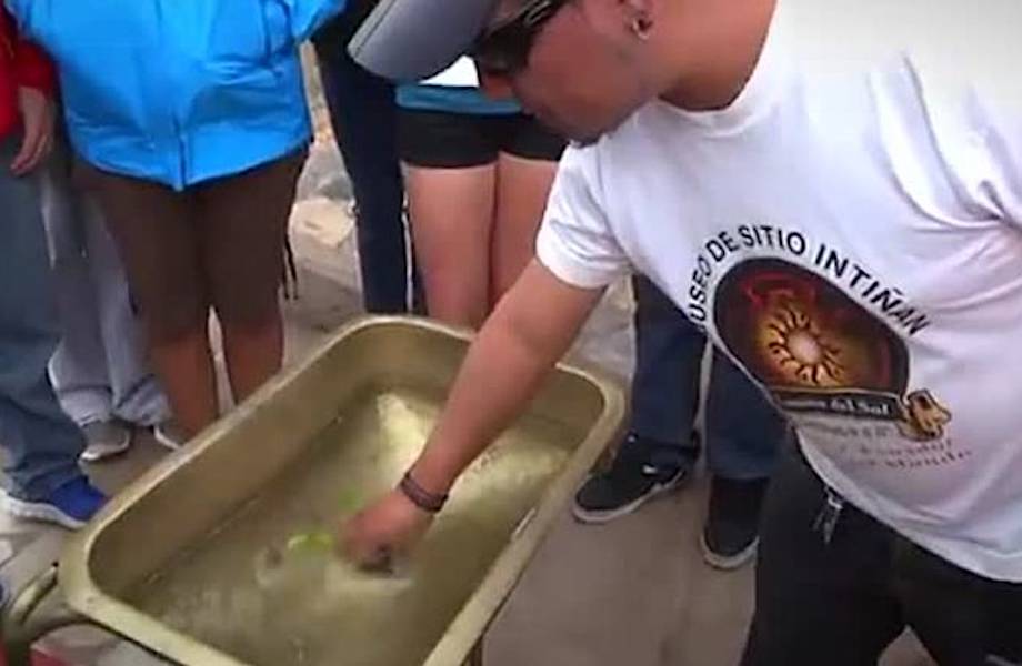 Как сливается вода из раковины на экваторе — прямо посередине Земли