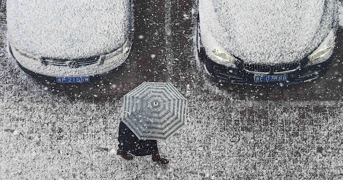 Фото дня: первый снег