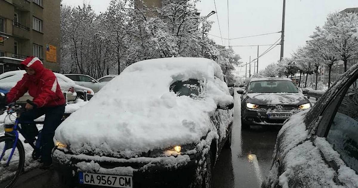 Фото дня: почистил машину