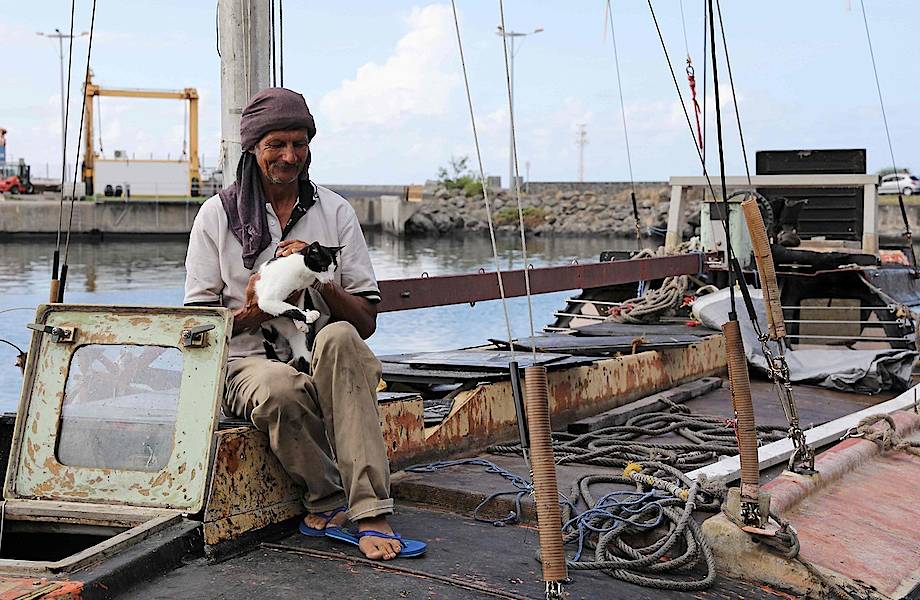 Семь месяцев в шлюпке наедине с кошкой: как поляк дрейфовал в Индийском океане