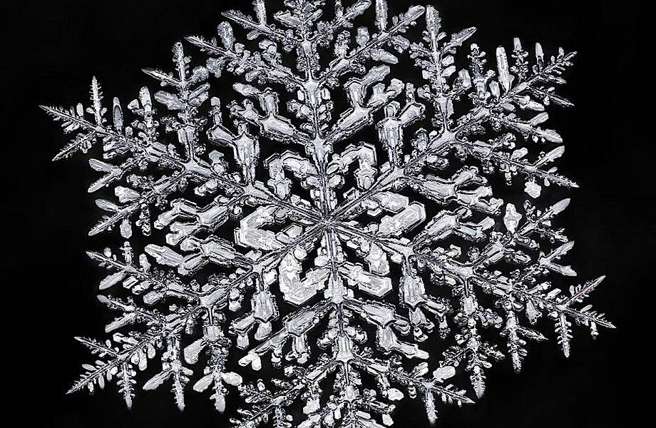 Как выглядят снежинки под микроскопом: 14 умопомрачительных макрофотографий