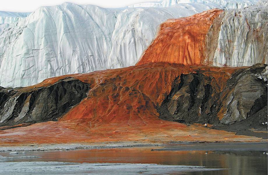 Кровавый водопад на леднике Тейлора: почему он имеет такой жуткий вид
