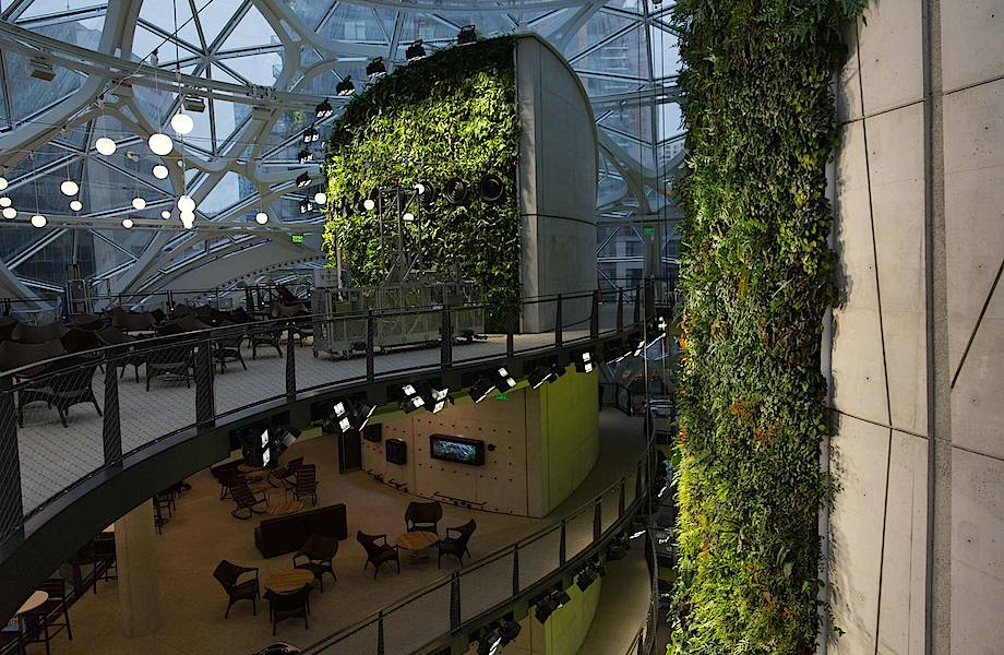 Amazon открыл новый офис, где растет настоящий лес