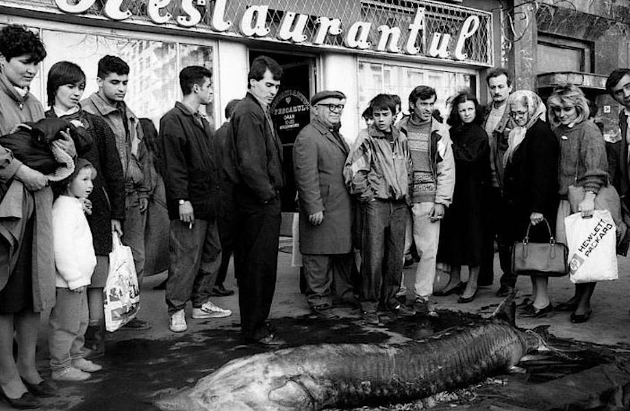 Черно-белые фото о жизни в постсоветской Румынии в 90-х годах