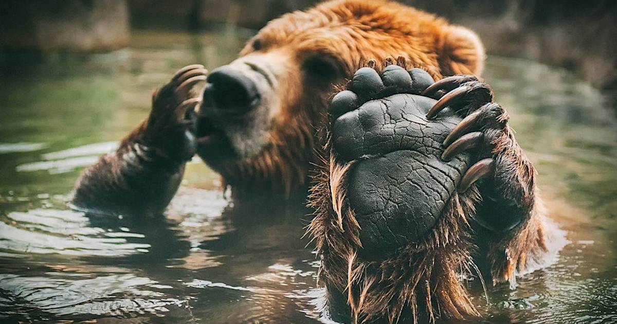 Фото дня: водные процедуры
