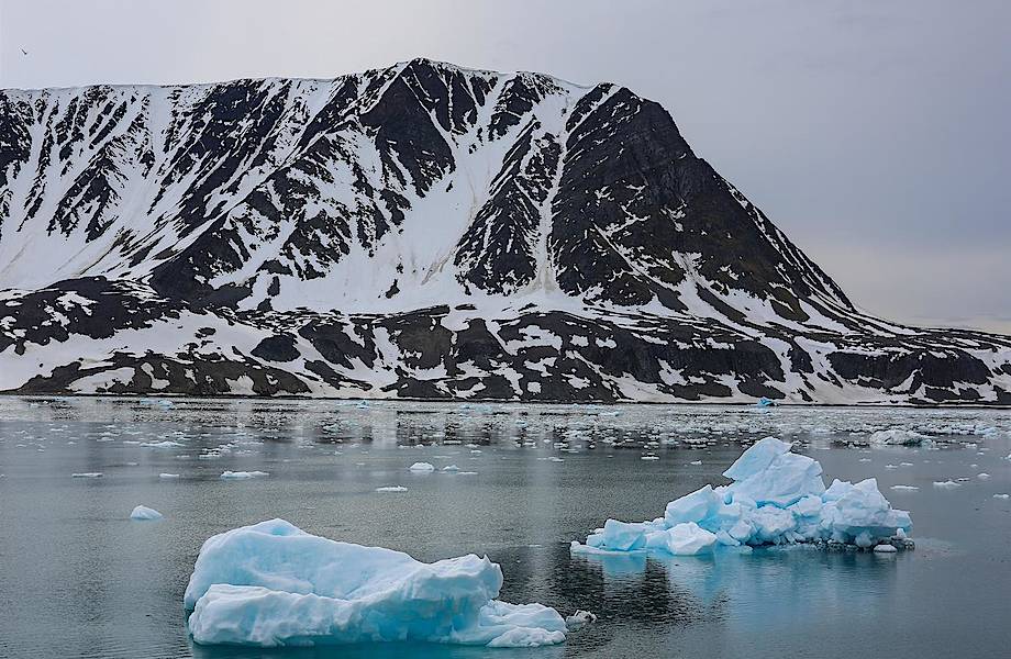 Первооткрыватели XXI века: как российские школьники открывают острова в Арктике