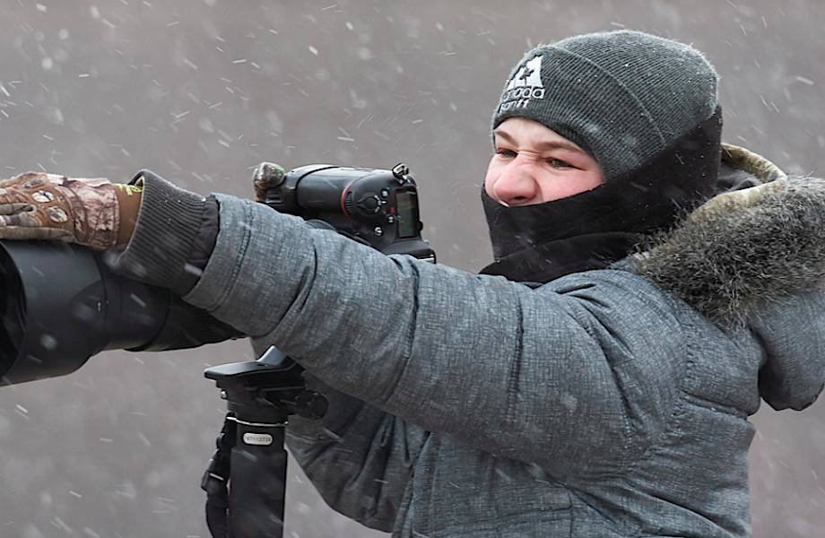 13-летний фотограф выиграл престижный канадский конкурс фотографии дикой природы