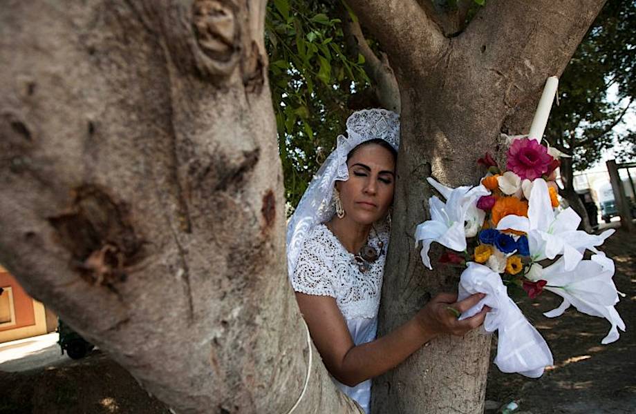 Зачем мексиканские женщины вышли замуж за деревья