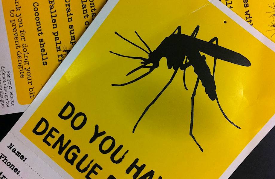 Лихорадка денге: об этом стоит знать, отправляясь на отдых в  тропические страны