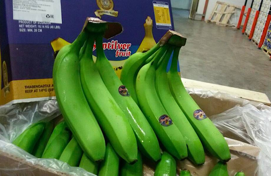 Газационная камера: бананы привозят зелеными и обрабатывают перед продажей 