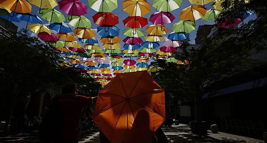 Фото дня: зонтики повсюду