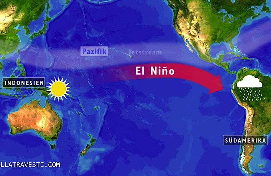 Реферат: Явление Эль-Ниньо