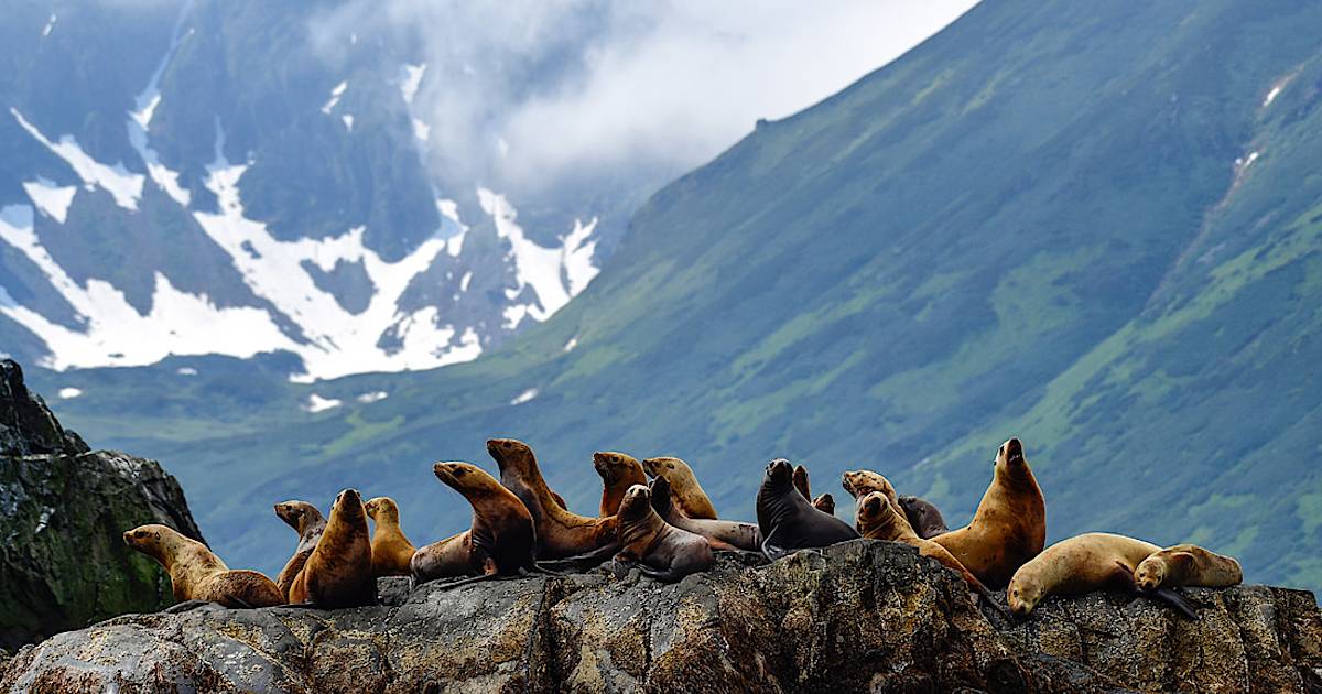 Фото дня: греются на солнышке