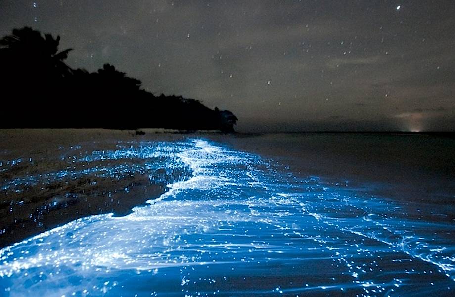 Видео: Светящийся пляж на Мальдивах