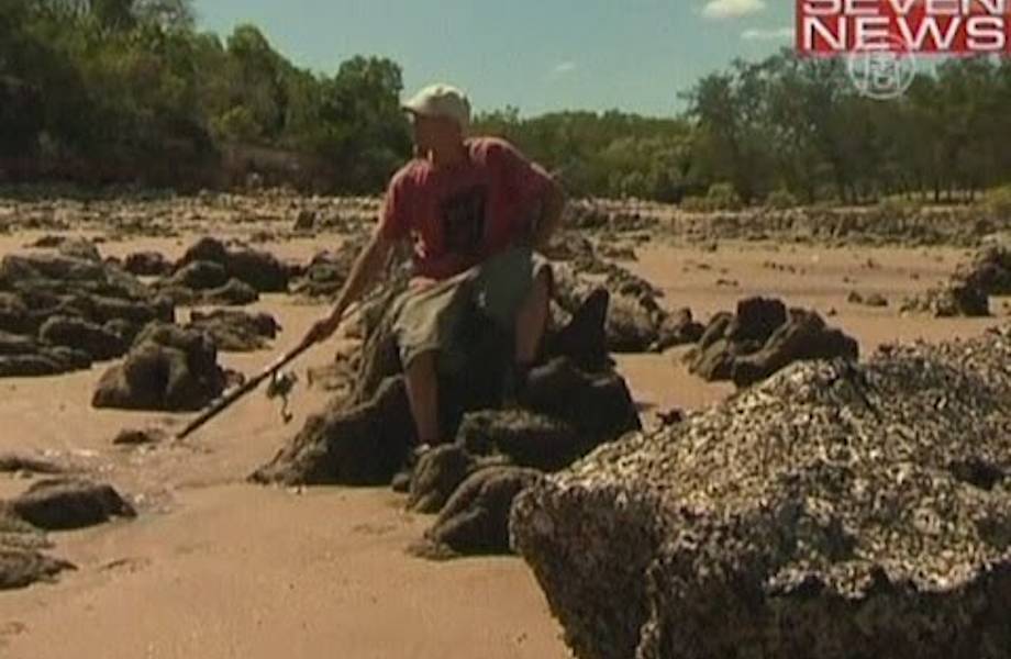 Видео: Турист провел две недели на необитаемом острове в плену у крокодила