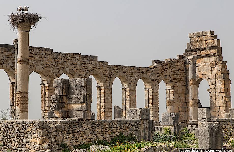 Щедрый древнеримский город в северной Африке