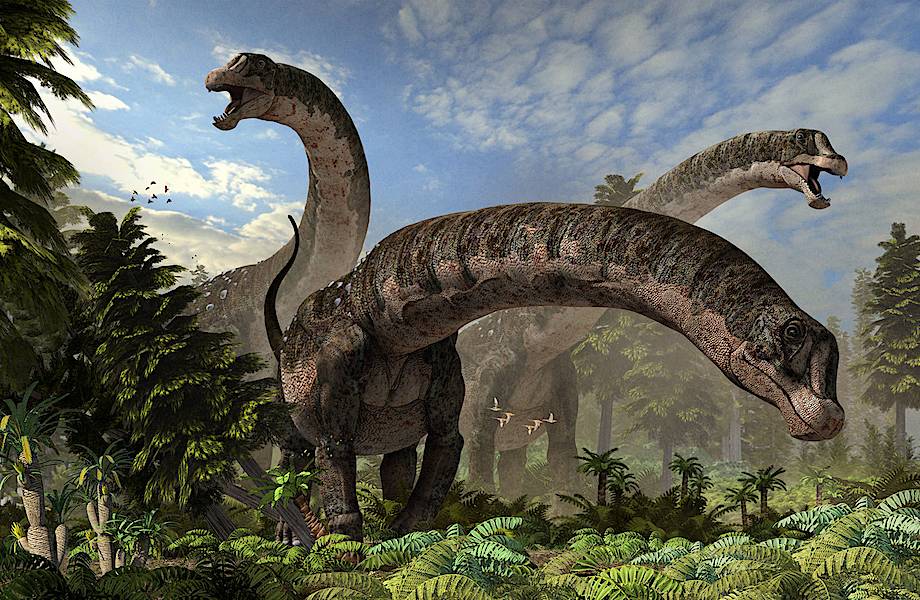Долина динозавров в Монголии вновь порадовала ученых великолепной находкой
