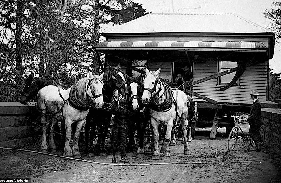 Удивительные редкие фото о том, как раньше передвигали целые дома с помощью лошадей