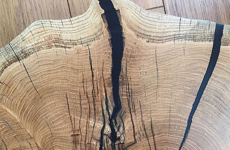 Парадокс мореной древесины: почему она не гниет в воде и может пролежать 500 лет