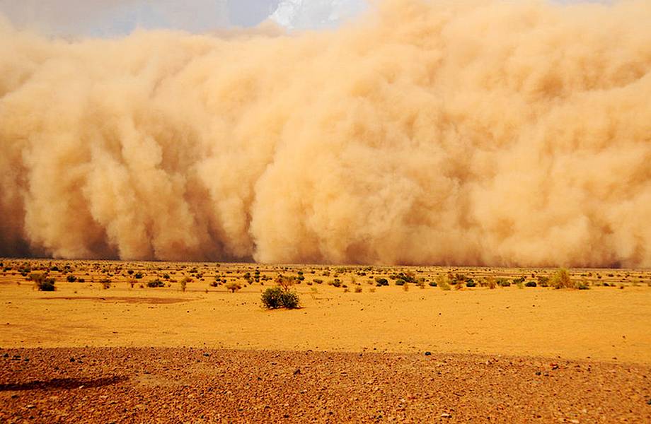 Сахара засыпает все песком и делает жизнь невыносимой: как остановить пустыню