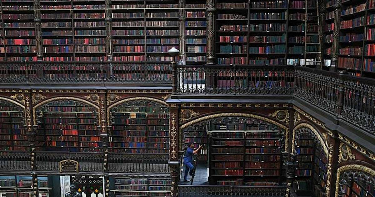 Фото дня: невероятная библиотека