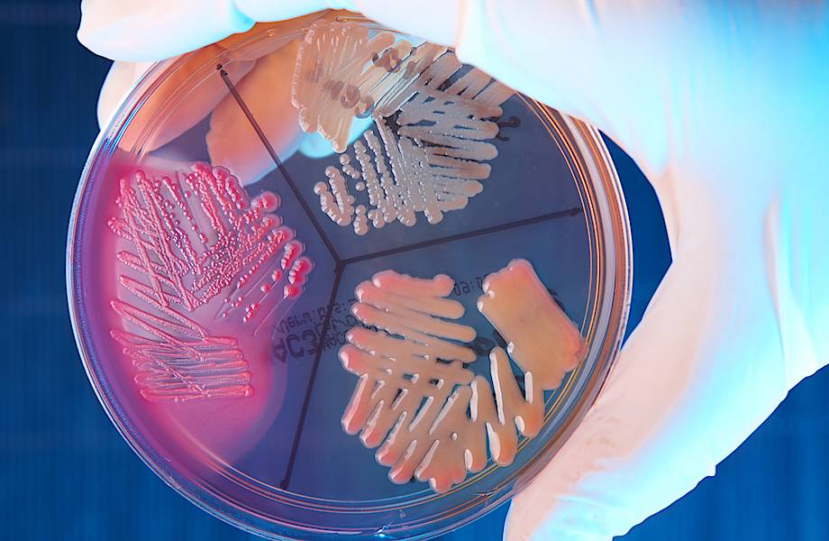На МКС обнаружены новые штаммы бактерий, которые устойчивы к антибиотикам