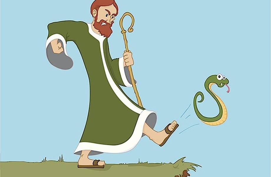 Почему в Ирландии нет змей, и можно ли их туда завезти