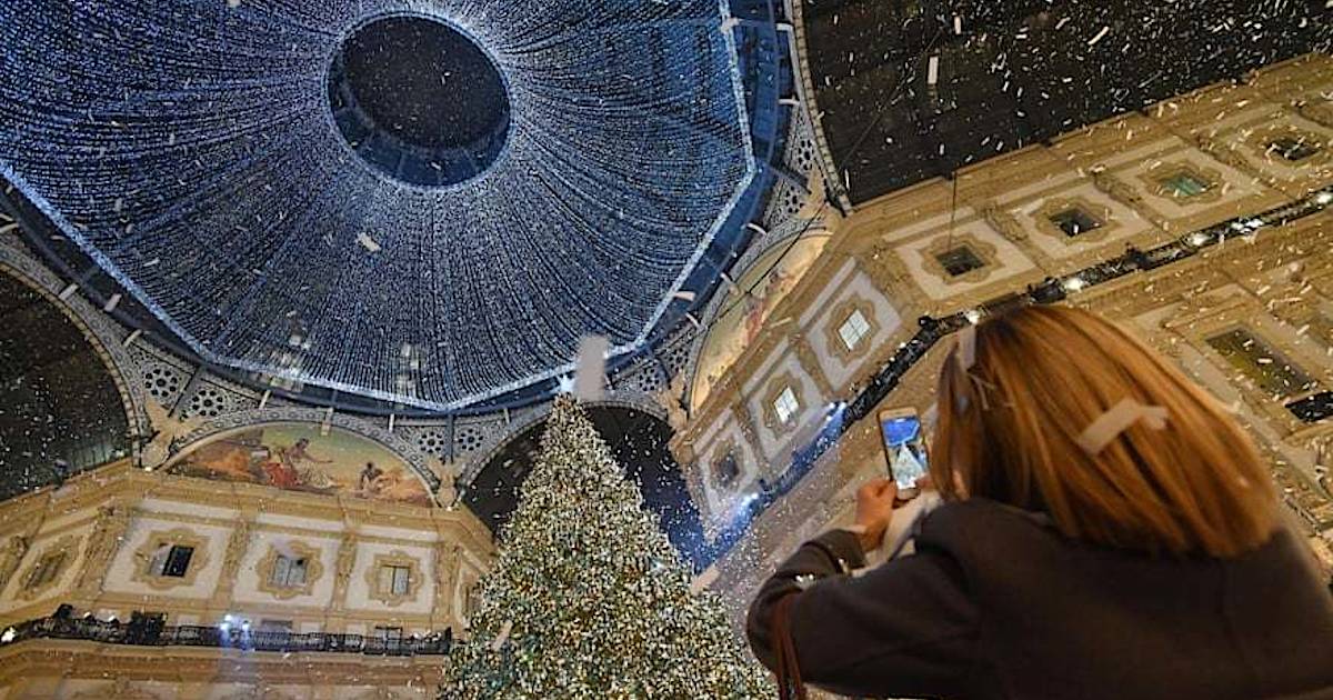Фото дня: рождественская елка Сваровски