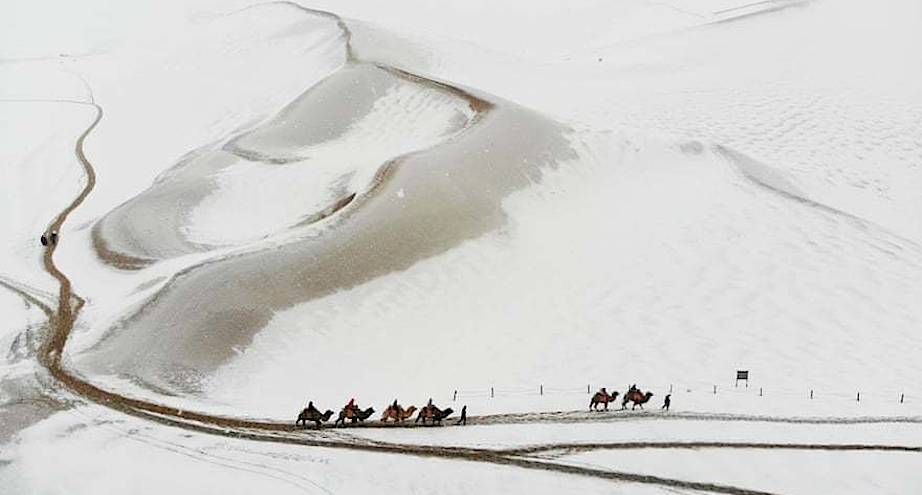 Фото дня: верхом на верблюдах по заснеженным горам