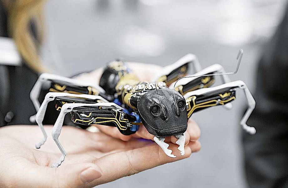 Управляемый мир насекомых: для чего создали роботов-муравьев