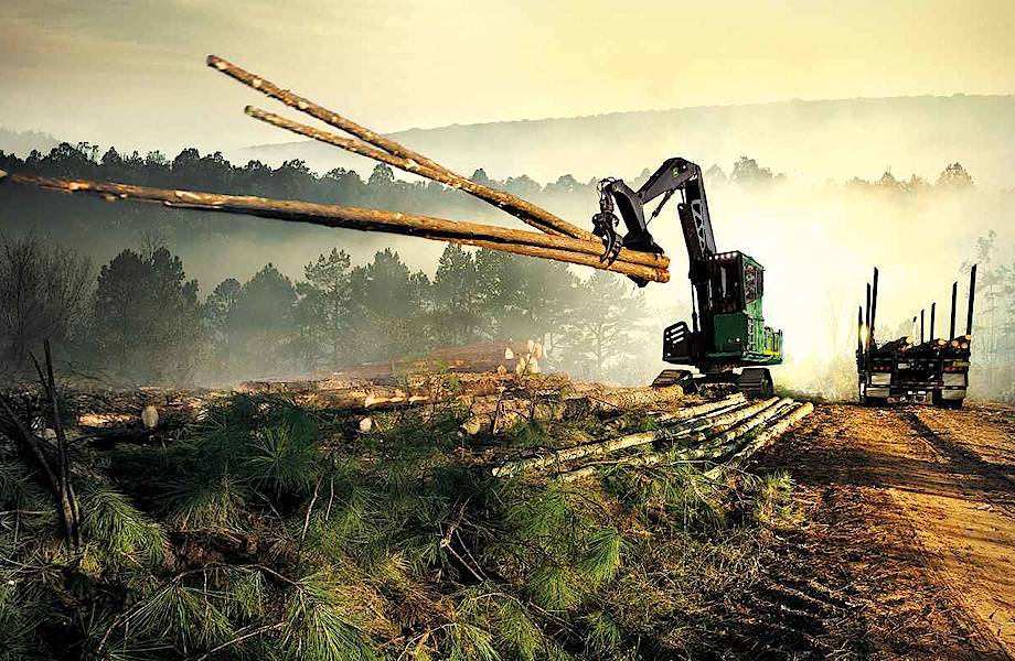 Хуже, чем в бразильской Амазонии: как в Канаде вырубают леса