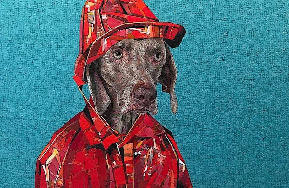 Метро Нью-Йорка украсили крутыми портретами собак, одетых как люди