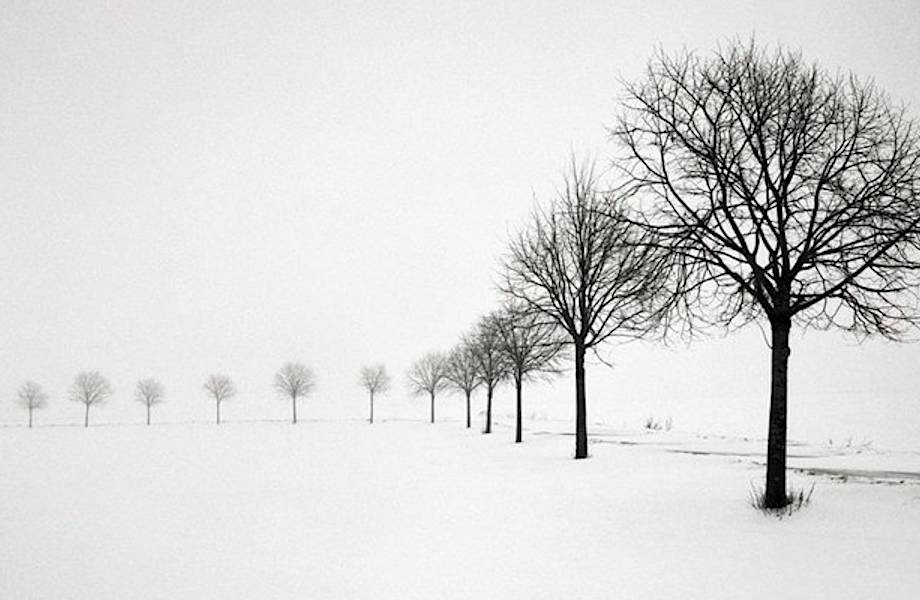 Тихие фотографии зимних пейзажей: неподвижные деревья в только выпавшем снегу 
