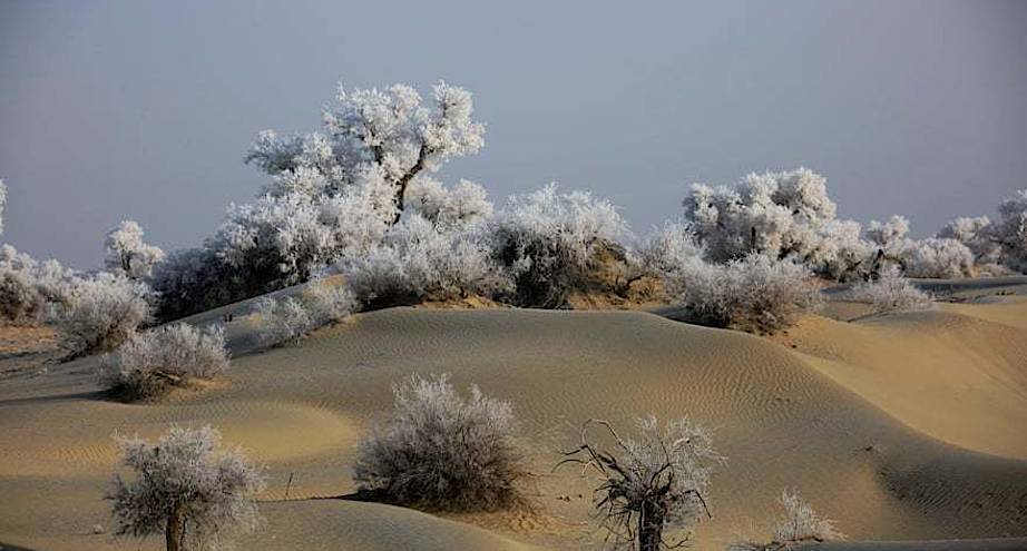 Фото дня: волшебница-зима добралась и до пустыни