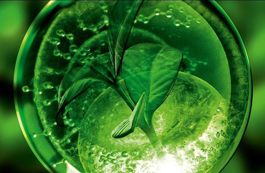 Ученые создали искусственный лист, способный к фотосинтезу