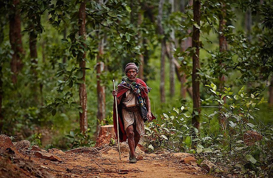 Последние кочевники: рауте — первобытное племя, живущее в горах Непала